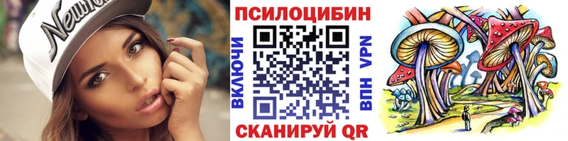 darknet наркотические препараты  где купить наркоту  Ленинск-Кузнецкий  Псилоцибиновые грибы Psilocybine cubensis 