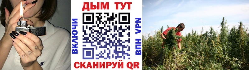 Шишки марихуана AK-47  купить наркотики сайты  Ленинск-Кузнецкий 